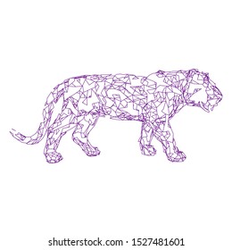 Sumatran tiger Low poly vector
