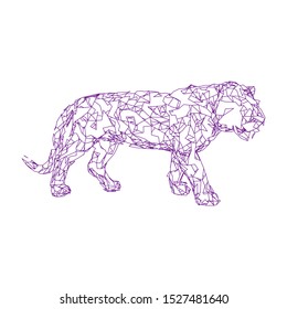Sumatran tiger Low poly vector