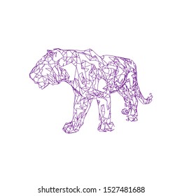 Sumatran tiger Low poly vector