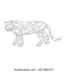 Sumatran tiger Low poly vector