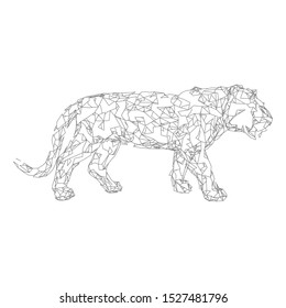 Sumatran tiger Low poly vector