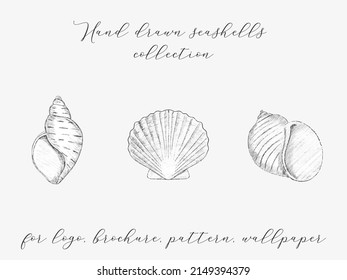 Sumer Hand Painted Underwater Background With Mollusk And Seashell. Sea Underwater Collection For Logo, T-shirt, Fabric, Print, Textile, Stationary, Paper, Craft, Summer Marketing, Sale, Flyer, Banner