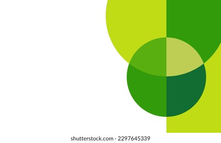fondo abstracto de verano con una hermosa hoja tropical y espacio para copiar. Banner horizontal
