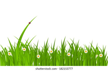 Summer Abstract Background with Grass. Vector Illustration.