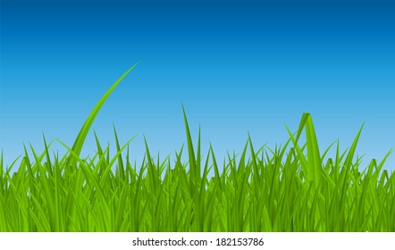 Summer Abstract Background with Grass. Vector Illustration.