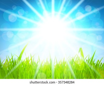 Summer Abstract Background with Grass. Vector Illustration. EPS10