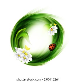 Summer Abstract Design With Green Lines, Chamomile And Ladybird On A Gray Background