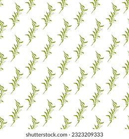 Summer abstract seamless pattern of marine plants. Marine theme. Algae. Print design, wallpaper, packaging. Vector flat illustration.