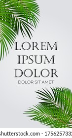 Summer Abstract stories  banner background can be use for landing page, website, mobile app, web design. Vector Illustration EPS10
