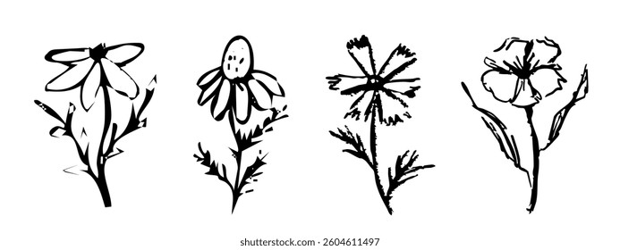 Summer abstract wild flowers, crayon ink drawing, chalk textured floral hand drawn. Charcoal sketch, trendy minimal tattoo