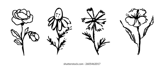Summer abstract wild flowers, crayon ink drawing, chalk textured floral hand drawn. Charcoal sketch, trendy minimal tattoo