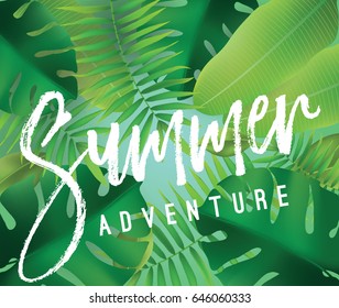 Summer adventure. Vector background with typography for posters and banners. Illustration with tropical leaves and sun.