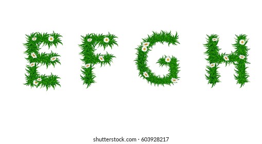 Summer alphabet. Letters E, F, G, H. Grass and flowers alphabet