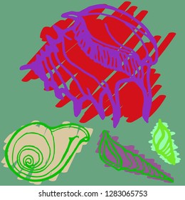 Summer amazing suite animal shell multicolor sea.
