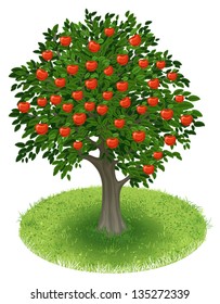 Summer Apple Tree with red apple fruits in green field, illustration