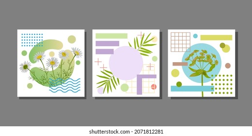 Summer art posters set with flowers and grometric objects