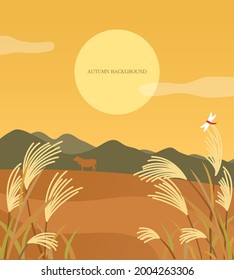 Summer, Autumn Background Illustration Design 