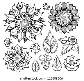 Summer, autumn garden design elements set in doodle style. Flowers,  sunflowers, leaves. Ornate decorative black and white illustration. Zentangle coloring book page