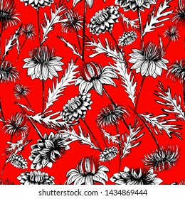 Summer, autumn pattern with chrysanthemum flower, field beautiful plants, hand draws ink. Chrysanthemum ink. Isolated background. Large flowers in vintage style. Wallpaper design, textiles