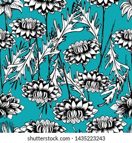 Summer, autumn pattern with chrysanthemum flower, field beautiful plants, hand draws ink. Chrysanthemum ink. Isolated background. Large flowers in vintage style. Wallpaper design, textiles