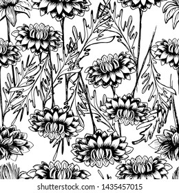 Summer, autumn pattern with chrysanthemum flower, field beautiful plants, hand draws ink. Chrysanthemum ink. Isolated background. Large flowers in vintage style. Wallpaper design, textiles