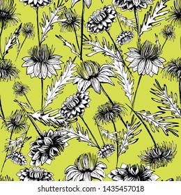 Summer, autumn pattern with chrysanthemum flower, field beautiful plants, hand draws ink. Chrysanthemum ink. Isolated background. Large flowers in vintage style. Wallpaper design, textiles