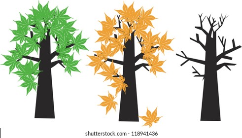 Summer, autumn and winter trees