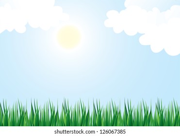 Summer background