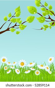 summer background.