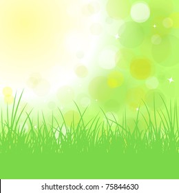Summer background