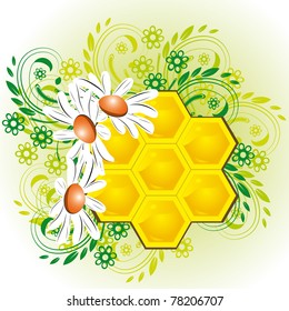 Summer background with bee honeycombs and flowers Vector illustration