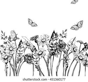  Summer  background with Blooming  wild flowers, daisies, cornflowers, grass, with butterflies. Template Vector.