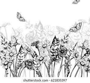 Summer background with Blooming wild flowers, daisies, cornflowers, grass, with butterflies. Template Vector