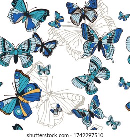 Summer background with blue butterflies.  Elements isolated on white background. 