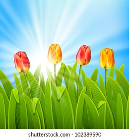 Summer background with blue sky and tulips. EPS10. Mesh. Clipping Mask
