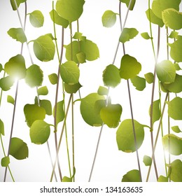 Summer background with branch and leaves. Vector illustration