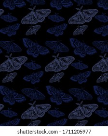 Summer Background with Butterflies. Trendy Decoration 