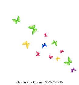 Summer Background with Colorful Butterflies. Simple Feminine Pattern for Card, Invitation, Print. Trendy Decoration with Beautiful Butterfly Silhouettes. Vector Background with Moth
