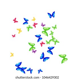 Summer Background with Colorful Butterflies. Simple Feminine Pattern for Card, Invitation, Print. Trendy Decoration with Beautiful Butterfly Silhouettes. Vector Background with Moth
