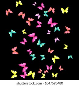 Summer Background with Colorful Butterflies. Simple Feminine Pattern for Card, Invitation, Print. Trendy Decoration with Beautiful Butterfly Silhouettes. Vector Background with Moth
