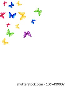 Summer Background with Colorful Butterflies. Simple Feminine Pattern for Card, Invitation, Print. Trendy Decoration with Beautiful Butterfly Silhouettes. Vector Background with Moth