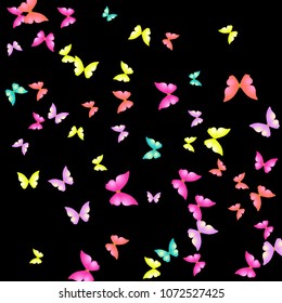 Summer Background with Colorful Butterflies. Simple Feminine Pattern for Card, Invitation, Print. Trendy Decoration with Beautiful Butterfly Silhouettes. Vector Background with Moth