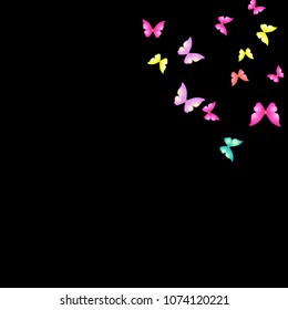Summer Background with Colorful Butterflies. Simple Feminine Pattern for Card, Invitation, Print. Trendy Decoration with Beautiful Butterfly Silhouettes. Vector Background with Moth