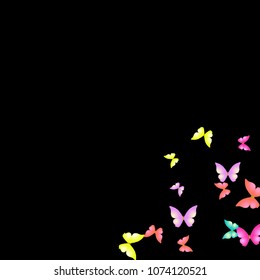 Summer Background with Colorful Butterflies. Simple Feminine Pattern for Card, Invitation, Print. Trendy Decoration with Beautiful Butterfly Silhouettes. Vector Background with Moth