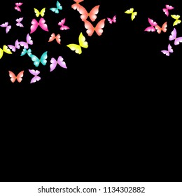 Summer Background with Colorful Butterflies. Simple Feminine Pattern for Card, Invitation, Print. Trendy Decoration with Beautiful Butterfly Silhouettes. Vector Background with Moth

