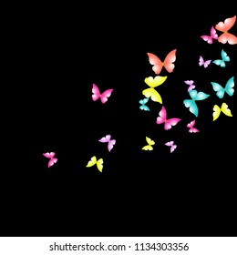 Summer Background with Colorful Butterflies. Simple Feminine Pattern for Card, Invitation, Print. Trendy Decoration with Beautiful Butterfly Silhouettes. Vector Background with Moth
