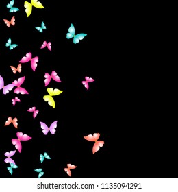 Summer Background with Colorful Butterflies. Simple Feminine Pattern for Card, Invitation, Print. Trendy Decoration with Beautiful Butterfly Silhouettes. Vector Background with Moth
