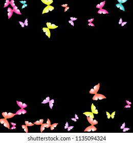 Summer Background with Colorful Butterflies. Simple Feminine Pattern for Card, Invitation, Print. Trendy Decoration with Beautiful Butterfly Silhouettes. Vector Background with Moth

