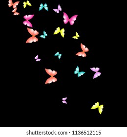 Summer Background with Colorful Butterflies. Simple Feminine Pattern for Card, Invitation, Print. Trendy Decoration with Beautiful Butterfly Silhouettes. Vector Background with Moth
