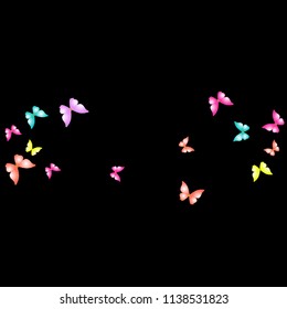 Summer Background with Colorful Butterflies. Simple Feminine Pattern for Card, Invitation, Print. Trendy Decoration with Beautiful Butterfly Silhouettes. Vector Background with Moth
